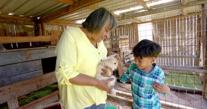 Happy biracial grandmother and grandson holding and petting rabbits, slow motion