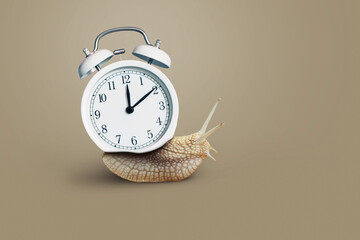 Creative snail with a vintage white clock crawls on a beige background, concept. Speed, Deadline...
