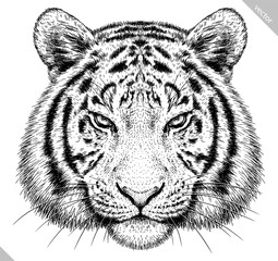 Vintage engraving isolated tiger set illustration ink sketch. Africa wild cat background animal silhouette art. Black and white hand drawn vector image