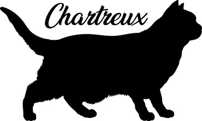 Chartreux bundle cat, cat breeds, cat silhouette, monogram cat