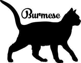 Burmese bundle cat, cat breeds, cat silhouette, monogram cat