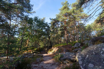 Restoration of the  eroded sections in the Franchard gorges. Fontainebleau forest