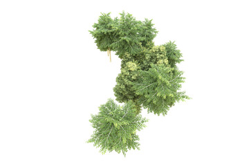 Fototapeta premium Realistic forest isolated on transparent background. 3d rendering - illustration