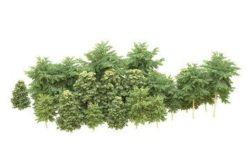 Obraz premium Realistic forest isolated on transparent background. 3d rendering - illustration