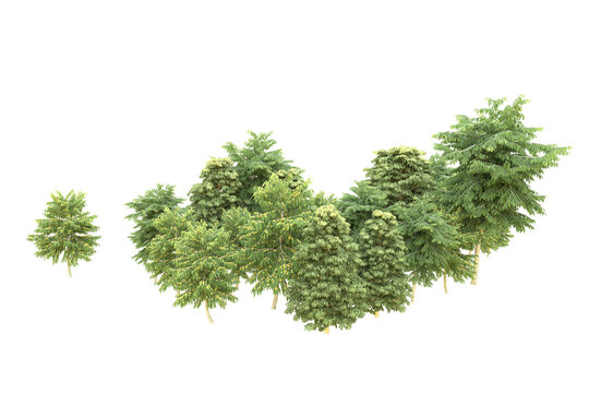 Realistic forest isolated on transparent background. 3d rendering - illustration