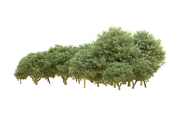 Realistic forest isolated on transparent background. 3d rendering - illustration