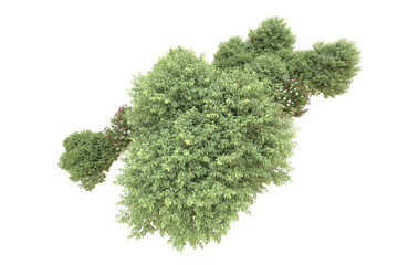 Obraz premium Realistic forest isolated on transparent background. 3d rendering - illustration
