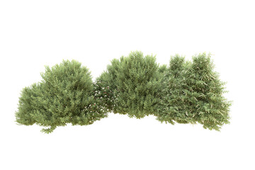 Realistic forest isolated on transparent background. 3d rendering - illustration