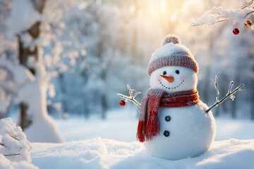 Cheerful snowman in winter garden photo background.