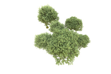 Fototapeta premium Realistic forest isolated on transparent background. 3d rendering - illustration