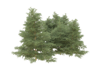 Fototapeta premium Realistic forest isolated on transparent background. 3d rendering - illustration