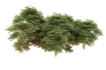 Fototapeta premium Realistic forest isolated on transparent background. 3d rendering - illustration