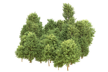 Fototapeta premium Realistic forest isolated on transparent background. 3d rendering - illustration