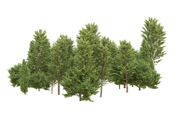 Fototapeta premium Realistic forest isolated on transparent background. 3d rendering - illustration