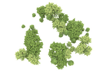 Realistic forest isolated on transparent background. 3d rendering - illustration