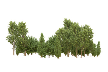 Fototapeta premium Realistic forest isolated on transparent background. 3d rendering - illustration