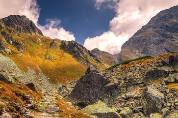 Summer mountain landscape in sunny day. Beautiful mountain trail in High Tatra, Slovakia. - 658101548