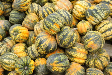 Lots of colourful striped pumpkins. Autumn fall seasonal pattern composition - 658101933