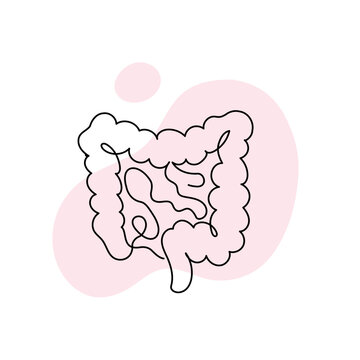 recommend clip art: Healthcare one line concept. Vector healthcare linear illustration. Gut intestine anatomy symbol silhouette on pink splash isolated on white background. Design for health care, gastroenterology