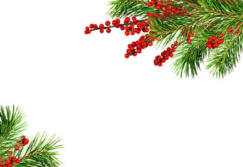 Green Christmas pine twigs and red berries of winterberry Holly in a corner arrangements isolated on white or transparent background