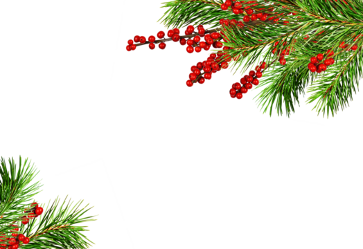 Green Christmas pine twigs and red berries of winterberry Holly in a corner arrangements isolated on white or transparent background - Powered by Adobe