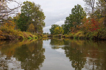 Forest river in autumn. View from the water