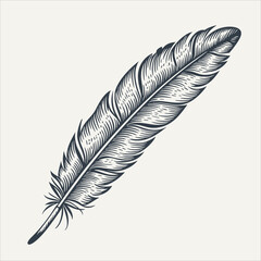 Feather. Vintage woodcut engraving style vector illustration.