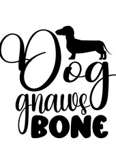 dog gnaws bone