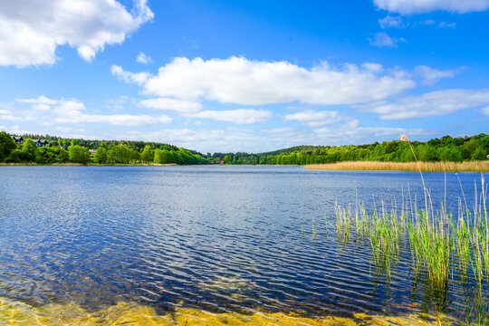 View of Lake Wiselka, Neuendorfer See. Landscape on the island of Wolin. Nature in West Pomerania.
