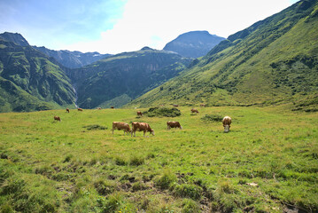 Fototapeta na wymiar Nassfeld Valley in Hohe Tauren National Park, Austria