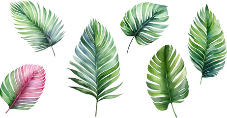 Fototapeta na wymiar Set of watercolor palm leaves on transparent background