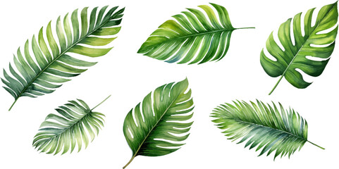Set of watercolor palm leaves on transparent background - obrazy, fototapety, plakaty
