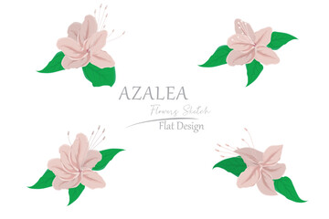 illustration of pink azalea flowers. simple flat design