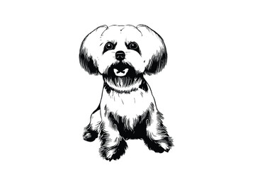 Cuteness Overload: Maltese Dog's Charm in Vector Art