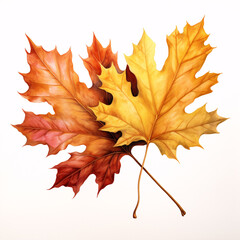 Decorated maple autumn leaves on a white background. Generative Ai