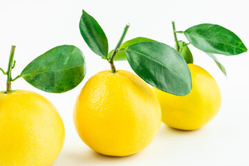 Fresh fruit grapefruit on white background