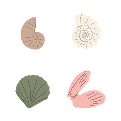 Tropical underwater seashell. Hand drawn sea mollusk shellfish element. Vector illustration in scandinavian style.