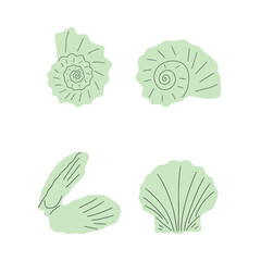 Tropical underwater seashell. Hand drawn sea mollusk shellfish element. Vector illustration in scandinavian style.
