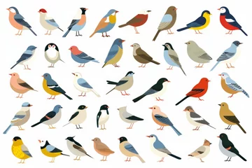 Fotobehang Flat design vector birds icon set. Popular birding species collection. Exotic bird set in flat design. Vector illustration © Fabien