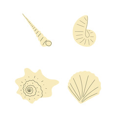 Tropical underwater seashell. Hand drawn sea mollusk shellfish element. Vector illustration in scandinavian style.