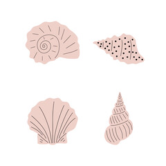 Tropical underwater seashell. Hand drawn sea mollusk shellfish element. Vector illustration in scandinavian style.