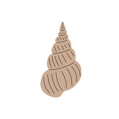 Tropical underwater seashell. Hand drawn sea mollusk shellfish element. Vector illustration in scandinavian style.