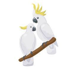 Australian colorful parrots couple. White cartoon cockatoo. Cute flat vector love parrots sitting on a branch isolated on white background. Talking realistic birds. Happy valentine day concept
