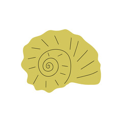 Tropical underwater seashell. Hand drawn sea mollusk shellfish element. Vector illustration in scandinavian style.