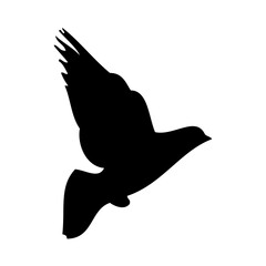 silhouette of dove
