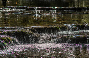 Cascadelles du ruisseau de Noire-Fontaine à Serrières-sur-Ain, Bugey, France