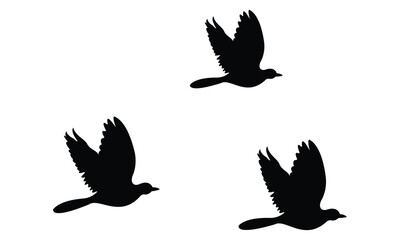 silhouettes of flock birds fly in sky	