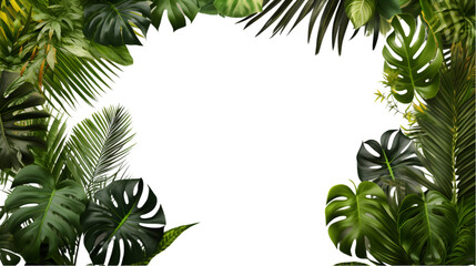 Tropical Leaves Border with Monstera and Palm Isolated on Transparent or White Background, PNG