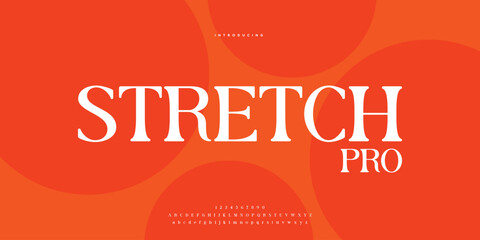 Elegant alphabet letters font and number. Classic Lettering Minimal Fashion Designs. Typography modern serif fonts regular decorative vintage concept. vector illustration