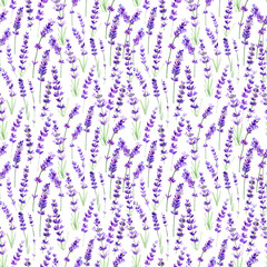 Watercolor lavender flowers seamless pattern. Botanical elegant design for textile in provence style